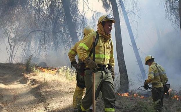 Controlado el incendio declarado este sábado en Alpujarra de la Sierra
