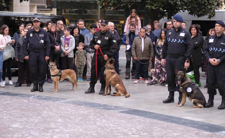 Un reconocimiento a las patrullas caninas de carne y hueso en Granada