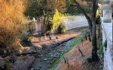 La tala de riberas del Darro atrae botellón, 'okupas' y pescadores