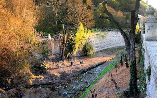 La tala de riberas del Darro atrae botellón, 'okupas' y pescadores