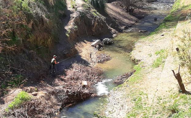 La pesca acabará con las truchas que lograron reconquistar el río Darro