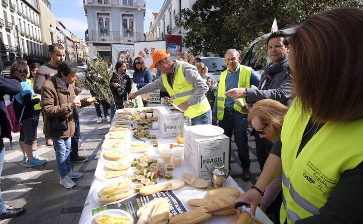 Desayuno multitudinario para pedir un precio digno por el aceite de oliva