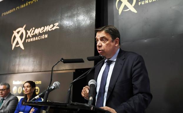 El Gobierno, preocupado por los precios «excesivamente bajos» del aceite