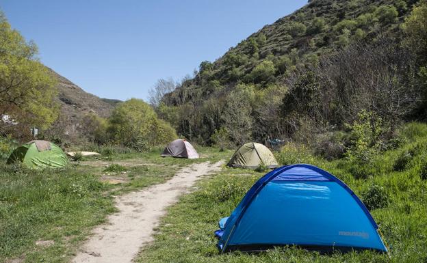El Ayuntamiento de Granada abrió siete expedientes para desalojar a los 'okupas' del Avellano