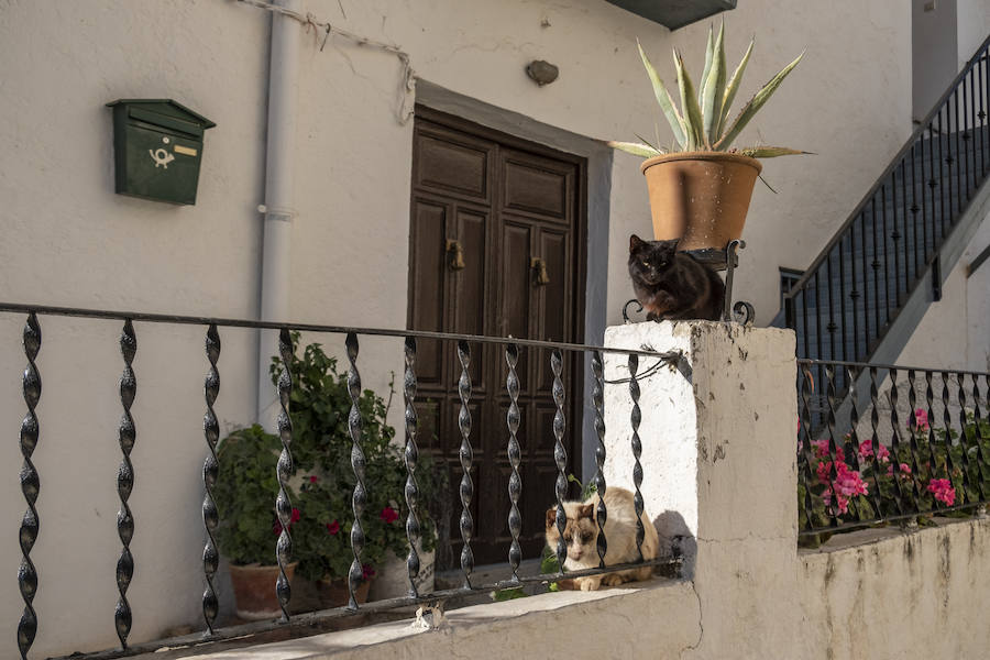 La Granada vaciada, en imágenes