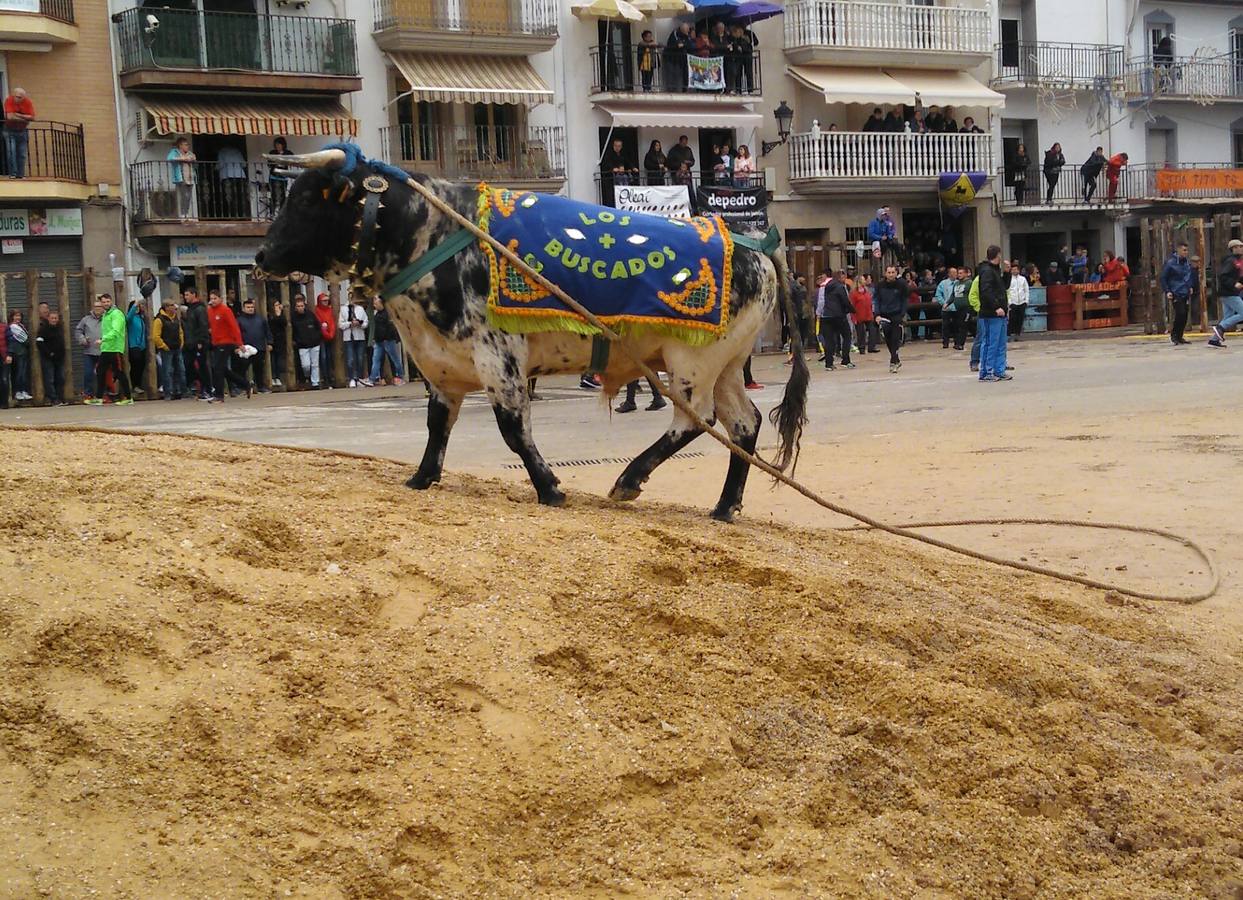 Día grande para todos los 'sanmarqueros'