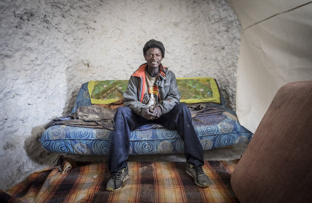 Cuatro meses sin noticias de la oveja Mercedes