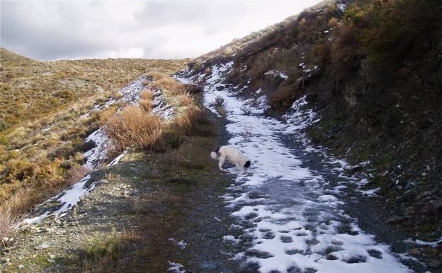 El sistema del manejo del agua del deshielo de Sierra Nevada se implantó en la Alpujarra en el siglo VIII