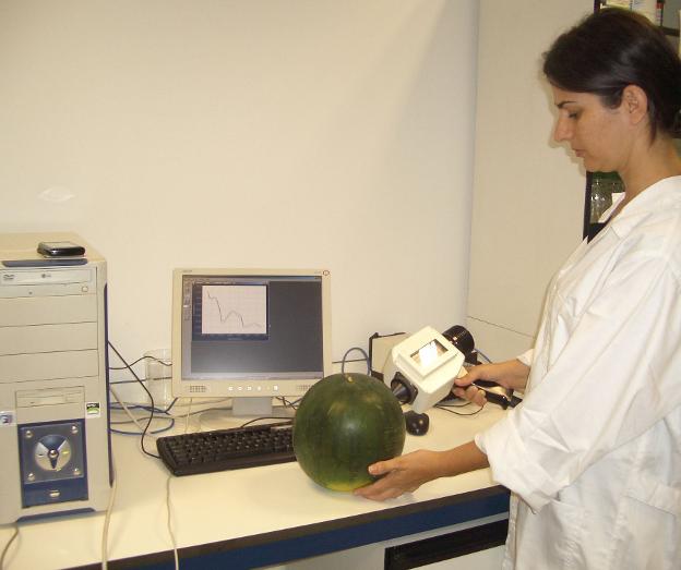 La Cámara de Comercio de Almería trae a potenciales compradores de la industria auxiliar de medio planeta