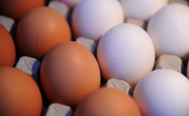 ¿Por qué es tan difícil encontrar huevos blancos en el súper?