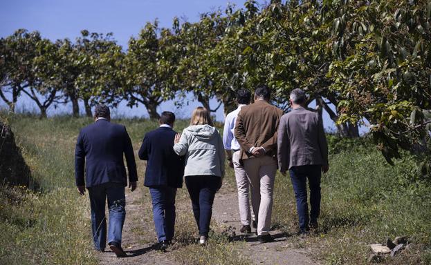 La esperanza de vida del aguacate