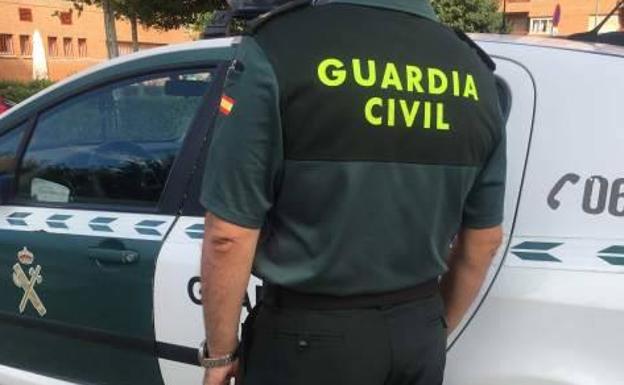 Decomisan 438 plantas de cannabis en dos viviendas en Guadahortuna