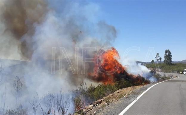 El Infoca trabaja en la extinción de dos incendios forestales en Huelva, uno en Doñana