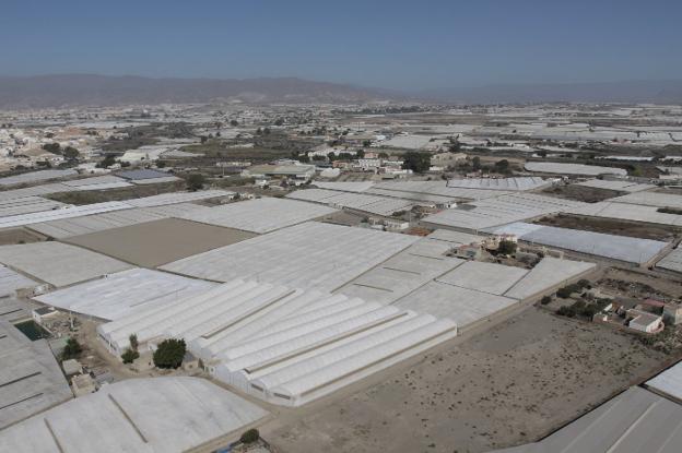 Los partidos de Almería acompañan el desarrollo del campo