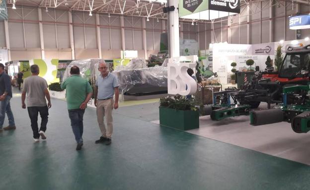 Todas las miradas apuntan a Ifeja