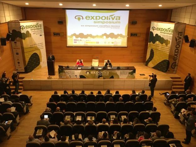 El olivar resiste al cambio climático