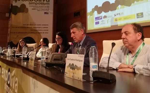 El mundo del aceite debate en Expoliva sobre la cata como sistema de clasificación de los aceites