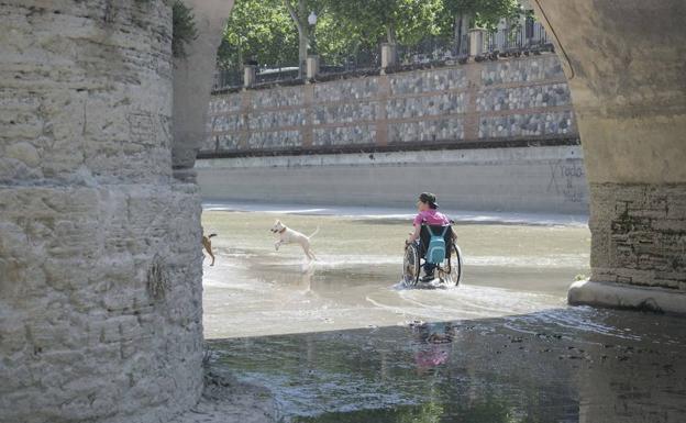 La Policía Local de Granada sancionará a quienes 'invadan' el Genil