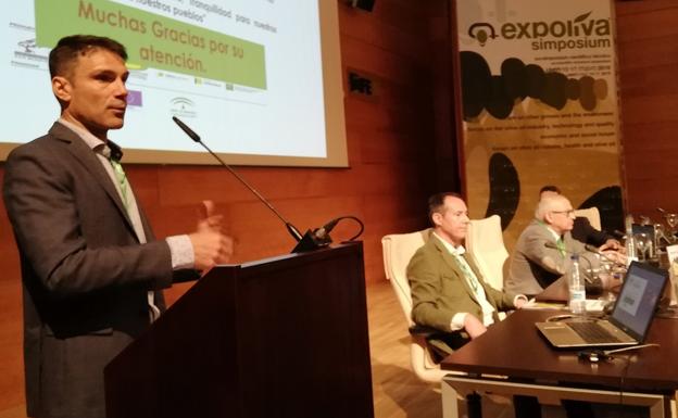 Científicos alertan de que el olivar tradicional soporta sobrecostes que amenazan su supervivencia