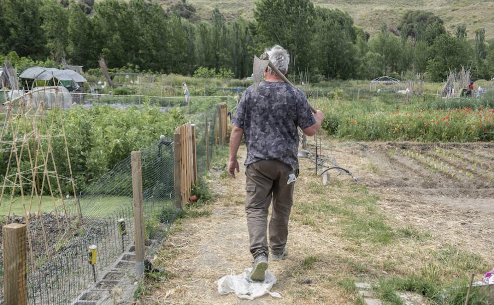 La campaña te lleva al huerto