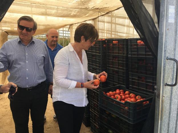 El PSOE anuncia una ventanilla única agraria para facilitar los trámites al sector del campo