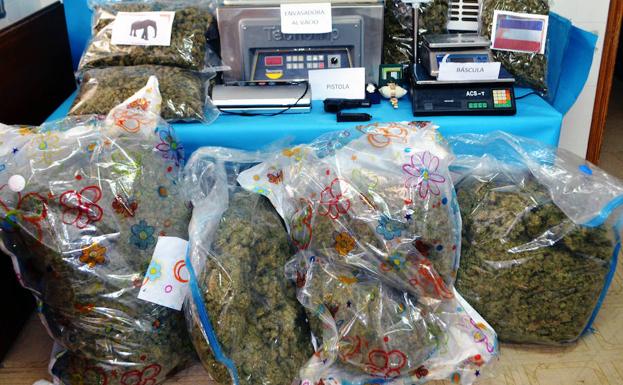 Desarticulan en Linares y Castellón un grupo que envasaba al vacío kilos y kilos de 'maría' para Europa