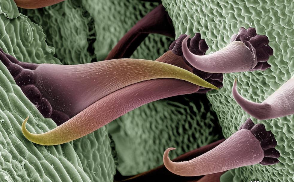 El apasionante mundo de lo que no se ve