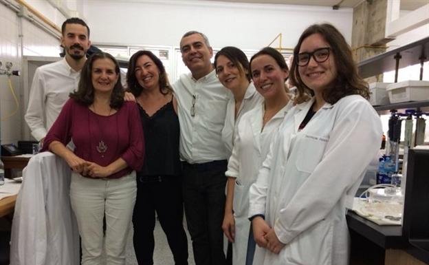 Ensayan un fármaco que activa la recuperación neuronal tras una lesión cerebral