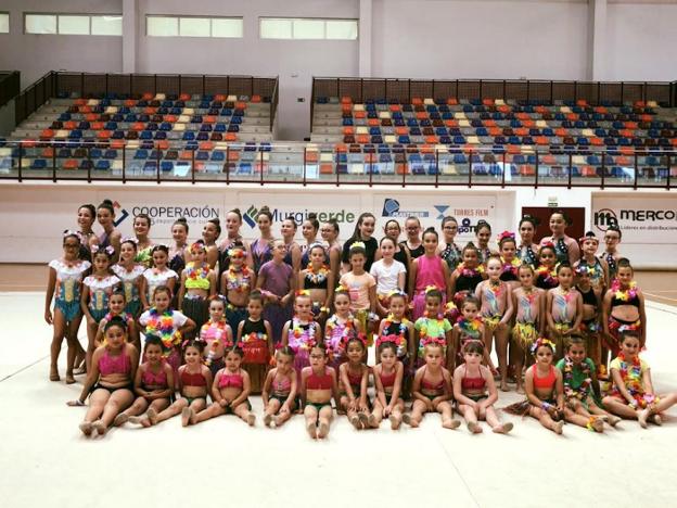 El campeonato andaluz promesas contará con 3.000 gimnastas