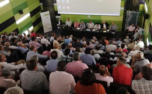 Cooperativas estudia la fórmula para retirar aceite del mercado