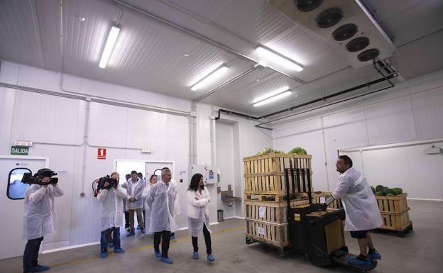 El puerto de Motril contará con más inspectores sanitarios y una estructura propia