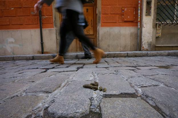 Casi 15 sanciones al mes en 2019 por contravenir la ordenanza de limpieza