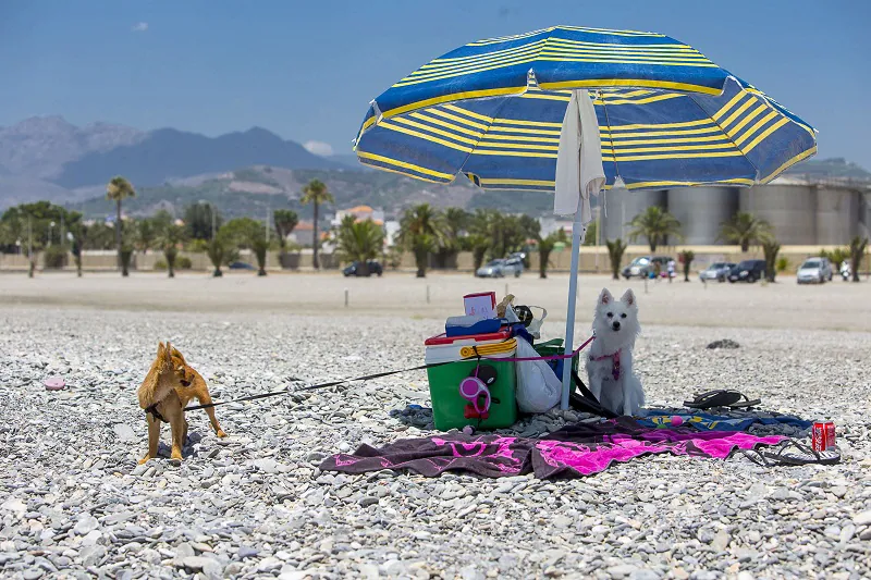¿Qué puedo hacer este verano en las playas de Almería?
