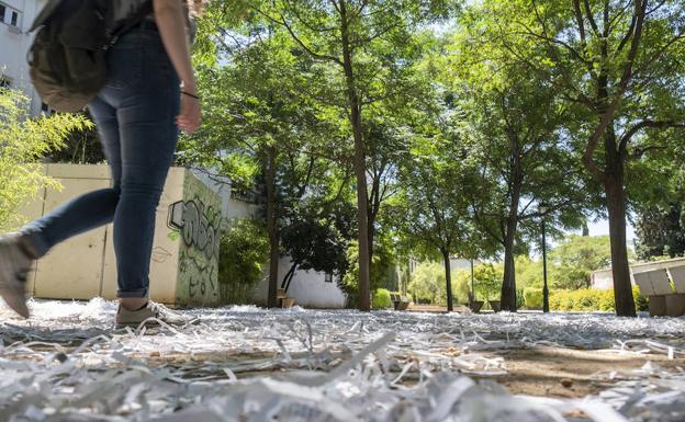 El parque del Cuarto Real de Santo Domingo aparece lleno de papel triturado