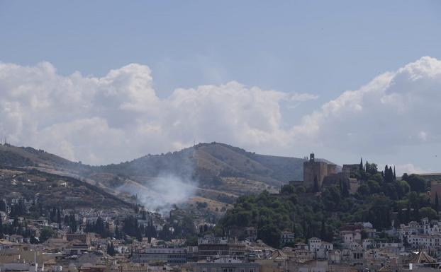 Vuelve a arder una zona de chumberas en San Miguel Alto