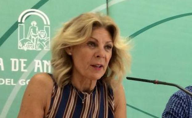 Fiscalía cree que la exdirectora de Cetursa amparó pagos «indebidos» con dos documentos «falsos»