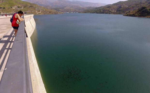 El agua de Rules llegará este verano a la Costa Tropical