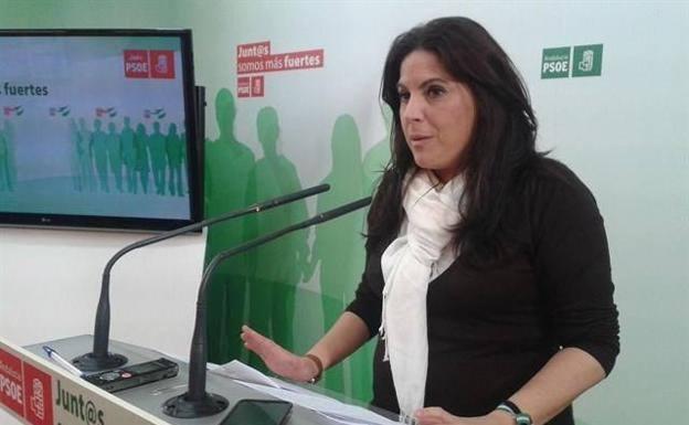 El PSOE presentará 275 enmiendas al Presupuesto de la Junta