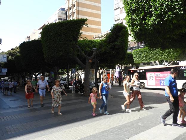 Mutilan un árbol en Méndez Nuñez para la instalación de una cámara de vigilancia