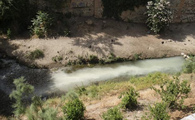 Un vertido tiñe de blanco el río Darro