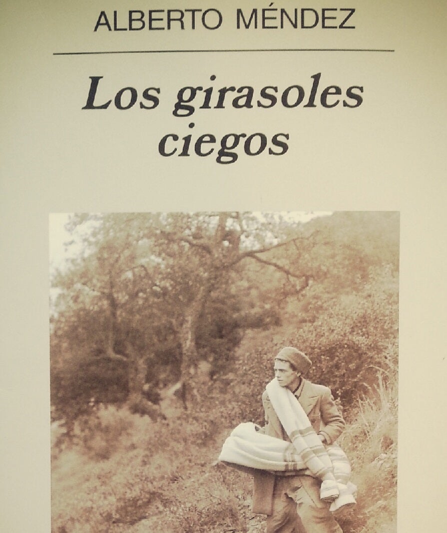 La verdad sobre 'Los girasoles ciegos' en Bachillerato en Andalucía