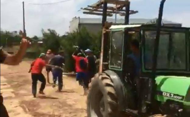 Unos olivareros se vuelven virales con su particular San Fermín