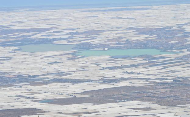 Adiós al tomate en bandeja de plástico
