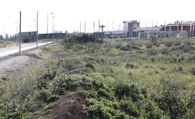 Pulianas ofrece sus terrenos a otras multinacionales tras 18 meses sin noticias de Ikea