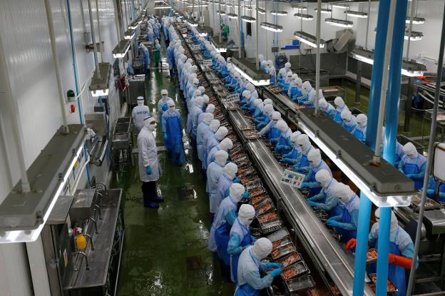 Esclavos de la gamba