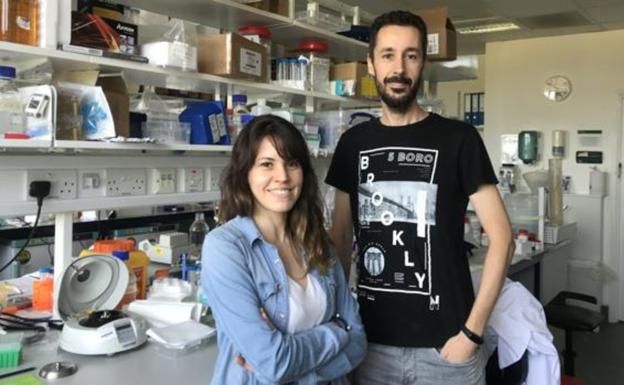 Científicos españoles logran alargar la vida a través de una bacteria