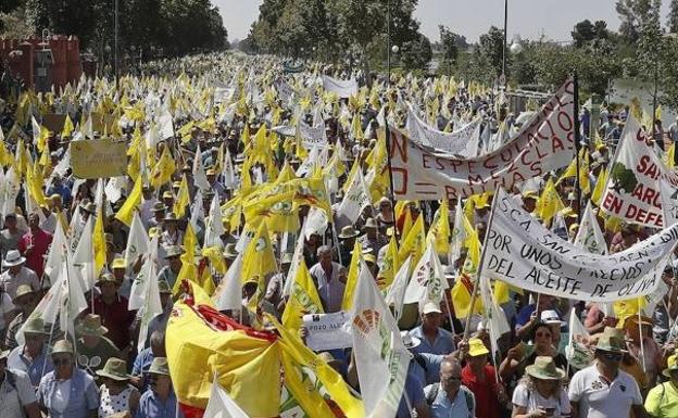 Tras Jaén y Sevilla, ya se prepara una gran movilización en Madrid contra el 'dumping' del aceite de oliva