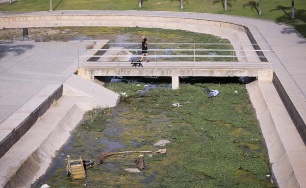 Agua estancada, basura o botellas, en la rambla que atraviesa el parque de las Provincias de Motril