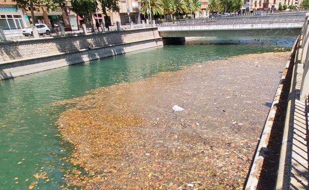 La suciedad se acumula en el Genil