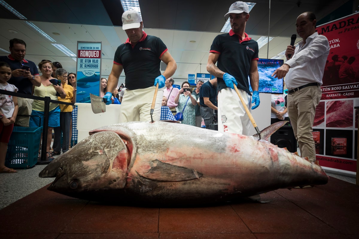 Así 'ronca' el atún rojo de almadraba en Granada
